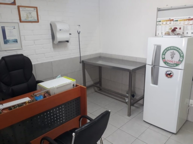 Consulta