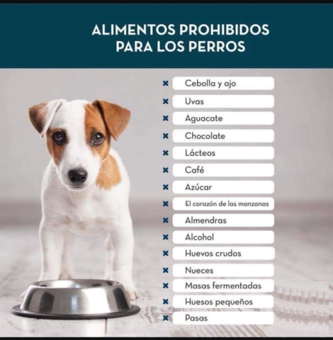 Alimentos Prohibidos