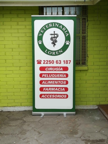 Servicios